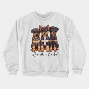 Three Lancashire Heeler puppies all looking cute. Crewneck Sweatshirt